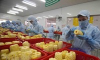 Vietnam targets 10 billion USD from fruit, vegetable exports by 2030