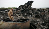 Có 3 hành khách Việt Nam trên chuyến bay MH17