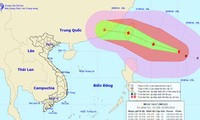 Xuất hiện bão Megi ở ngoài khơi, sức gió mạnh 185 km/h