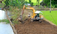 Quyết tâm mạnh mẽ phát triển bền vững Đồng bằng sông Cửu Long trước các thách thức biến đổi khí hậu