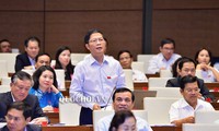 Năm 2020, toàn bộ các thôn bản, vùng khó khăn của Việt Nam sẽ được cấp lưới điện quốc gia