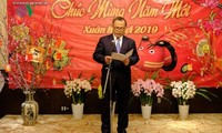 Đại sứ quán Việt Nam tại Nhật Bản tổ chức Tết Cộng đồng 2019