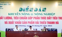 Thúc đẩy tiêu thụ và xuất khẩu vải thiều Thanh Hà