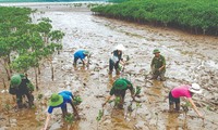 Việt Nam kêu gọi các quốc gia cùng nhau hành động để đối phó với biến đổi khí hậu