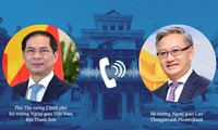 Phó Thủ tướng, Bộ trưởng Ngoại giao Bùi Thanh Sơn hội đàm trực tuyến với Bộ trưởng Ngoại giao Lào Thongsavanh Phomvihane