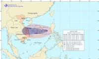 Khẩn trương kêu gọi các tàu cá ở  ngoài biển về nơi tránh trú an toàn