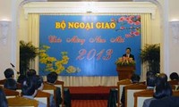 Hiệu quả hoạt động đối ngoại  năm 2012 