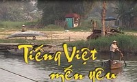 Ôn tập một số mẫu câu tiếng Việt