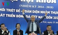 Đại hội Liên đoàn bóng đá Việt Nam nhiệm kỳ 7 (nhiệm kỳ 2014 – 2018)