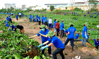 Thanh niên đóng vai trò quan trọng trong sự nghiệp xây dựng và bảo vệ Tổ quốc