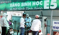 Chính phủ chỉ đạo đẩy mạnh sử dụng xăng sinh học 