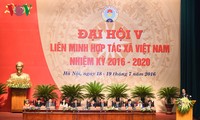 Hợp tác xã là con đường phù hợp nhất, hiệu quả nhất để cải thiện cuộc sống của hộ nông dân Việt Nam