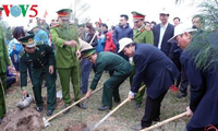 Deputy PM launches tree-planting festival in Nam Dinh 