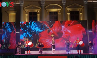 Hai Phong hosts Vietnam-Japan cultural exchange festival