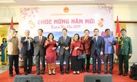 Vietnamese abroad celebrate Lunar New Year