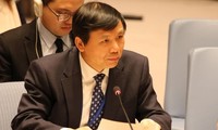 Vietnam to promote human rights at United Nations General Assembly