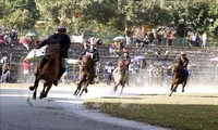 Traditional horse race recognised as national intangible heritage