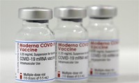 Vietnam conditionally approves COVID-19 Vaccine Moderna