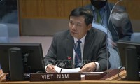 Vietnam calls on Israel, Palestine to pave the way for peace restoration 