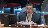 Vietnam calls for political progress towards elections in Libya