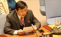 Vietnam backs efforts to support Iraq in addressing challenges 