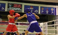 Bac Ninh hosts national boxing championships 2021