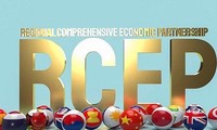 RCEP enforcement plan promulgated in Vietnam 