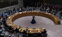 UN Security Council plans vote to call General Assembly meeting on Ukraine