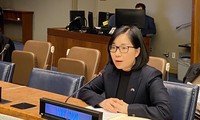 Vietnam reaffirms its consistent policy of nuclear disarmament and non-proliferation