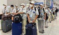 More Vietnamese workers sent to RoK 