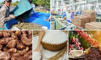 Nine agricultural items surpass 1-billion-USD mark in export turnover