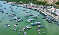 EC team inspect Khanh Hoa’s prevention of IUU fishing