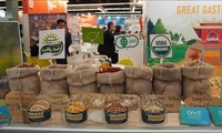 Vietnam attends organic food fair in Germany