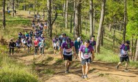 7,000 runners join Dalat Ultra Trail 2023 