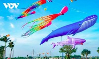 Giant kites brighten the sky of Can Tho