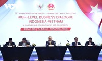 Party leader highlights huge potential for Vietnam-Indonesia cooperation