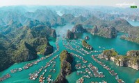 Cat Ba chosen as location for Hollywood film project