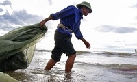 A glimpse of vibrant fishing life in Central Vietnam