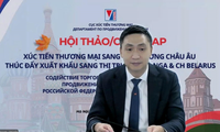 Vietnam seeks ways to tap into Russian, Belarusian markets 