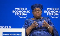 WTO raises global trade growth forecast for 2025