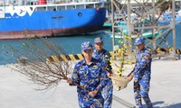 Naval Region 5 begins Tet visit to southwestern island 