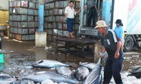 ปรับปรุงงานด้านการจับปลาโออย่างมีประสิทธิภาพ