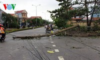  พายุหวู่ติ๊บทำให้มีผู้เสียชีวิต ๓ รายและได้รับบาดเจ็บนับสิบราย