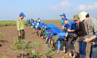  เวียดนามให้คำมั่นร่วมกับประชาคมระหว่างประเทศรับมือกับการเปลี่ยนแปลงของสภาพภูมิอากาศ