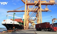 Strong first half drives Vietnam toward 450 billion USD export target