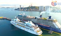 Quang Ninh to welcome thousands of cruise ship tourists during Tet