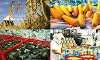 Экспортировать продукцию сельского, лесного и рыбного хозяйства на 60-62 миллиарда долларов