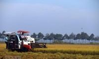 В Ханое прошел второй национальный диалог по системе продовольствия и продуктов питания во Вьетнаме 