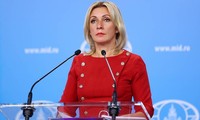 МИД России не подтвердил подготовку встречи по Афганистану в формате G7