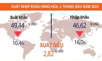 За первые 2 месяца 2023 года положительное сальдо торгового баланса Вьетнама превысил 2,8 млрд долларов